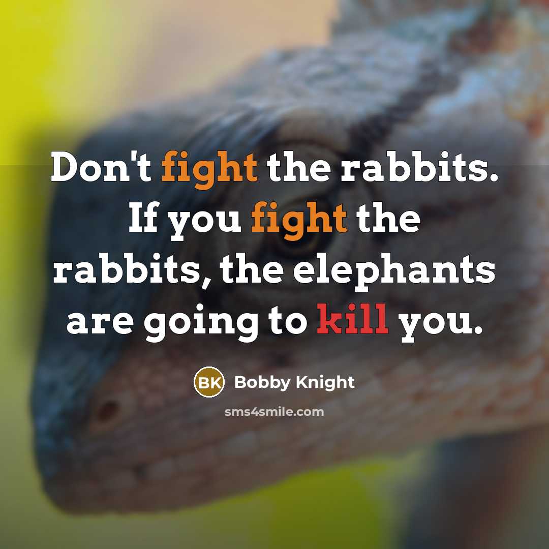“Don't fight the rabbits. If you fight the rabbits, the elephants are going to kill you.” quote by Bobby Knight