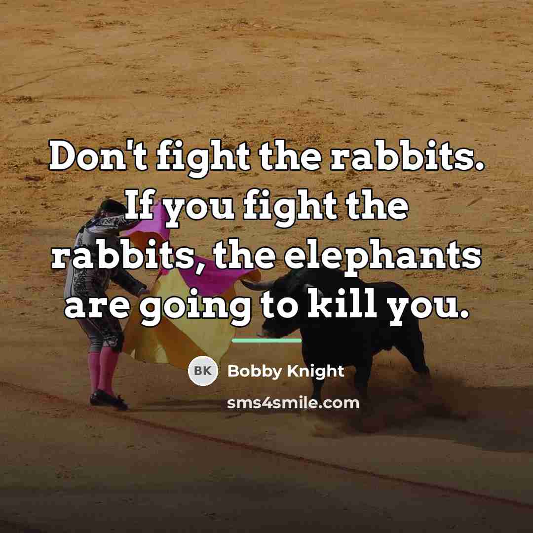 “Don't fight the rabbits. If you fight the rabbits, the…” quote by Bobby Knight