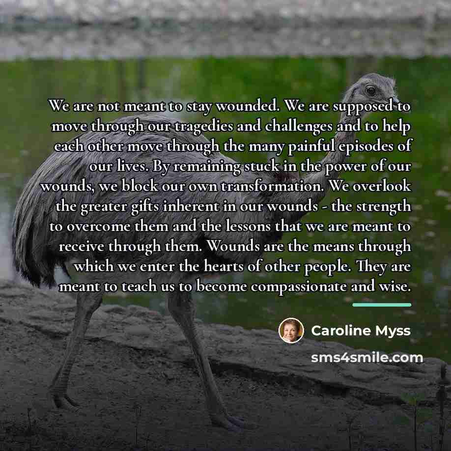 “We are not meant to stay wounded. We are supposed…” quote by Caroline Myss