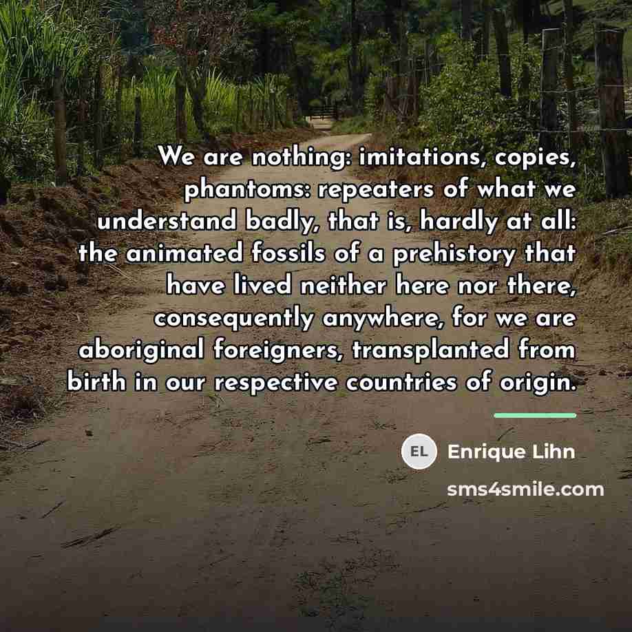 “We are nothing: imitations, copies, phantoms: repeaters of what we…” quote by Anonymous