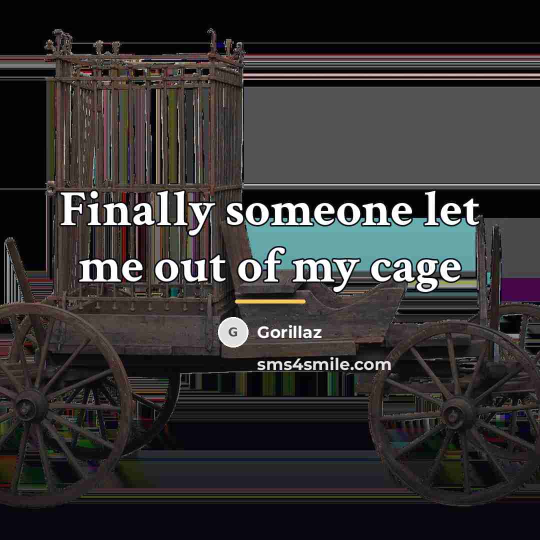 “Finally someone let me out of my cage…” quote by Gorillaz