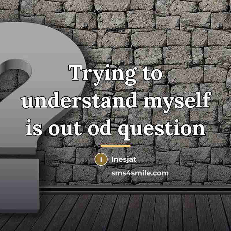 “Trying to understand myself is out od question…” quote by Inesjat