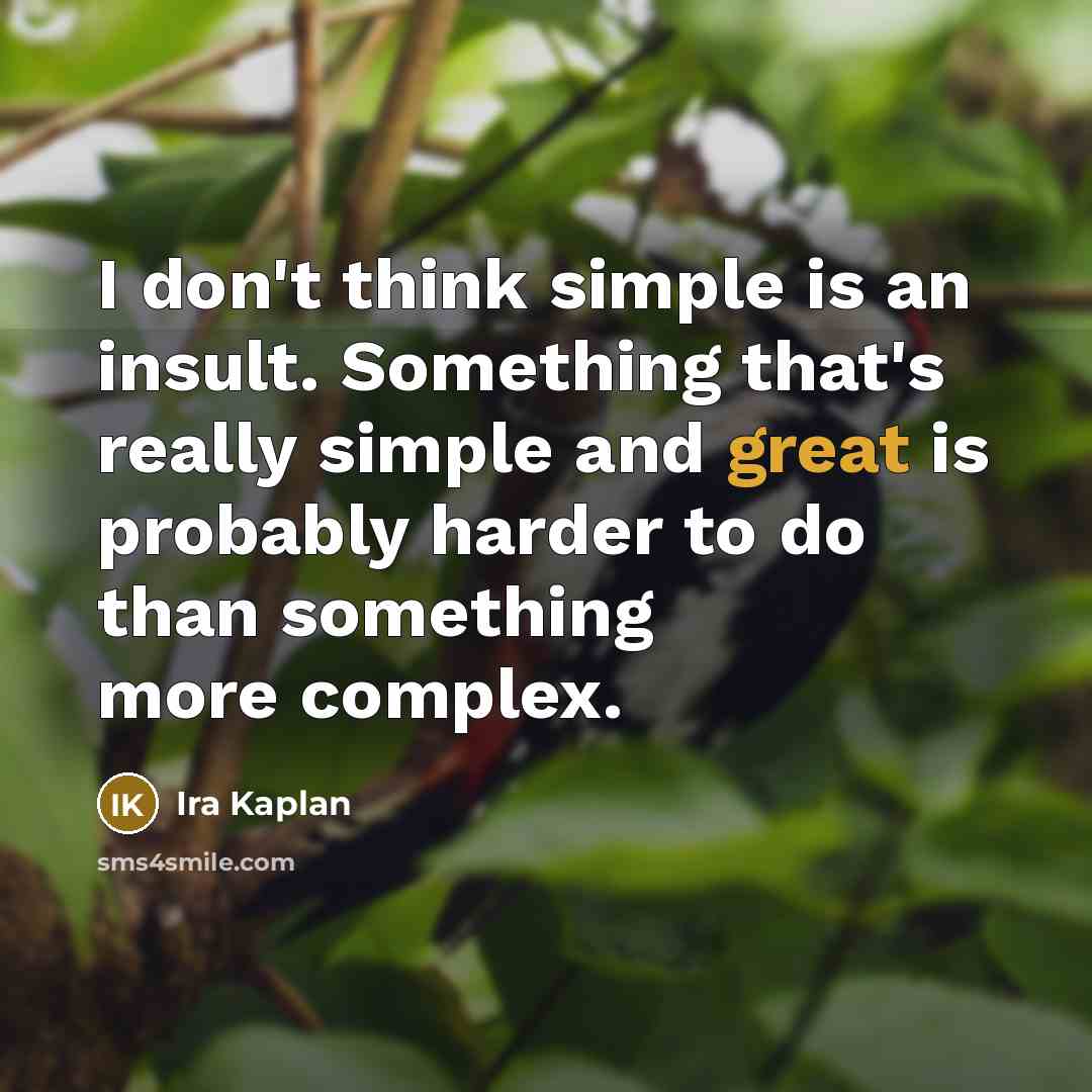 “I don't think simple is an insult. Something that's really…” quote by Ira Kaplan
