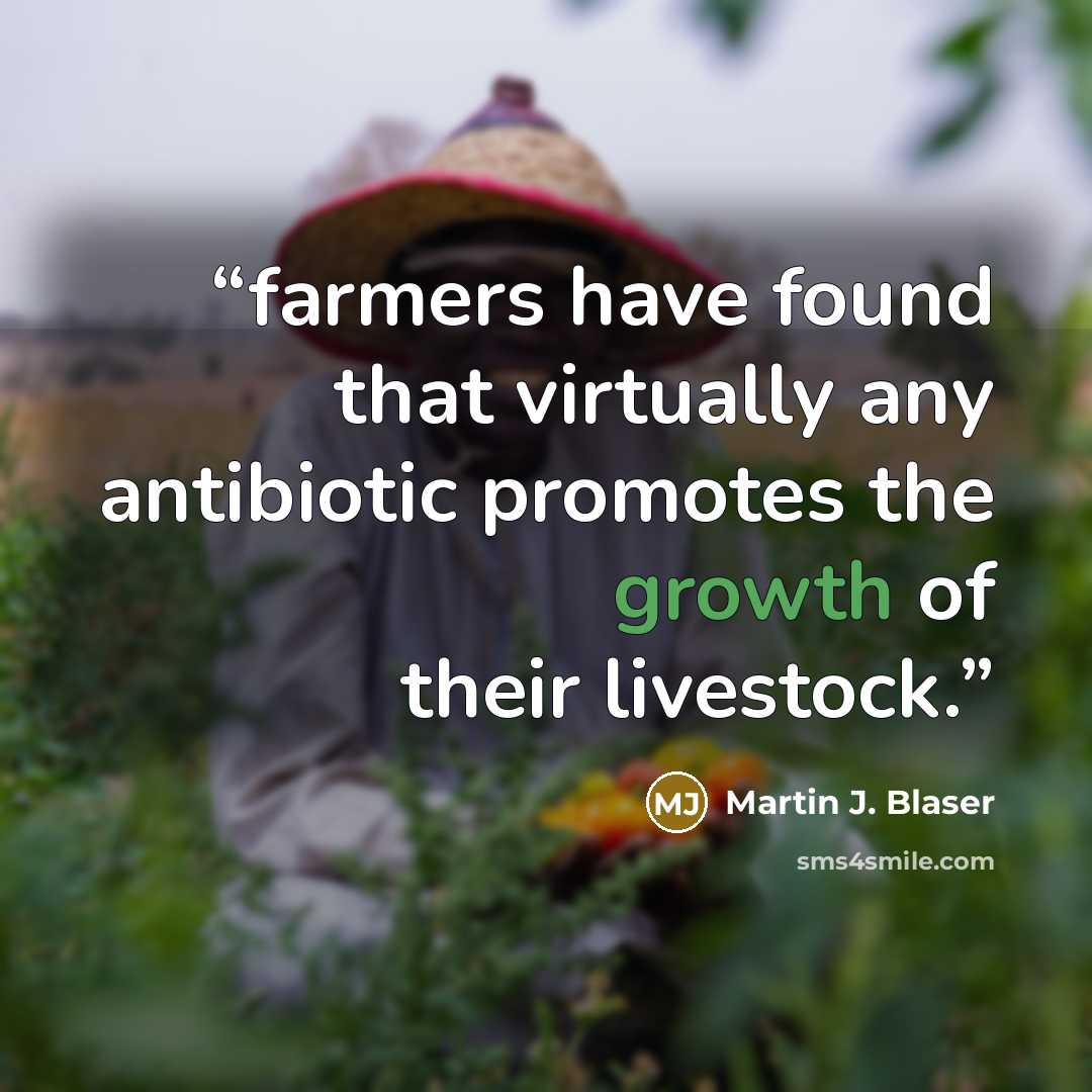 “farmers have found that virtually any antibiotic promotes the growth of their livestock.” quote by Martin J. Blaser