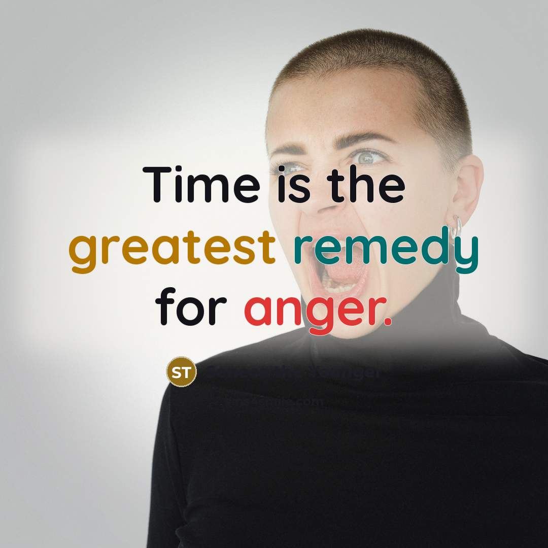 “Time is the greatest remedy for anger.…” quote by Seneca the Younger