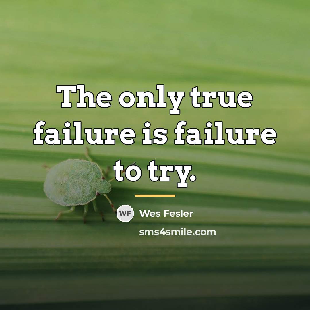 “The only true failure is failure to try.…” quote by Wes Fesler