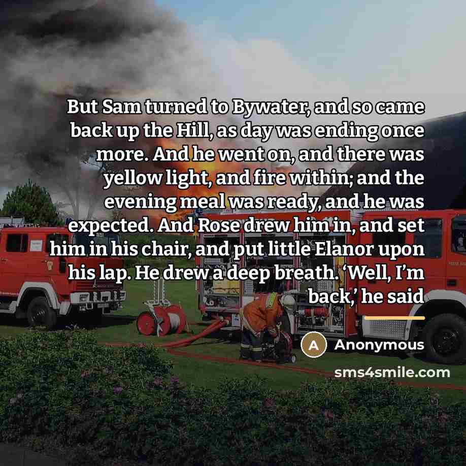 “But Sam turned to Bywater, and so came back up…” quote by Anonymous