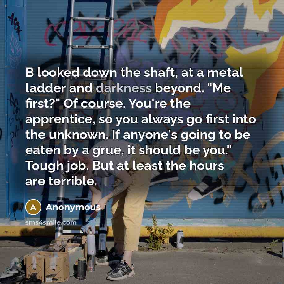 “B looked down the shaft, at a metal ladder and…” quote by Anonymous