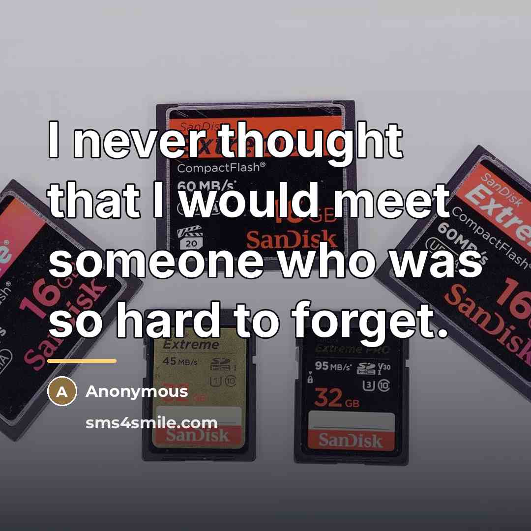 “I never thought that I would meet someone who was…” quote by Anonymous