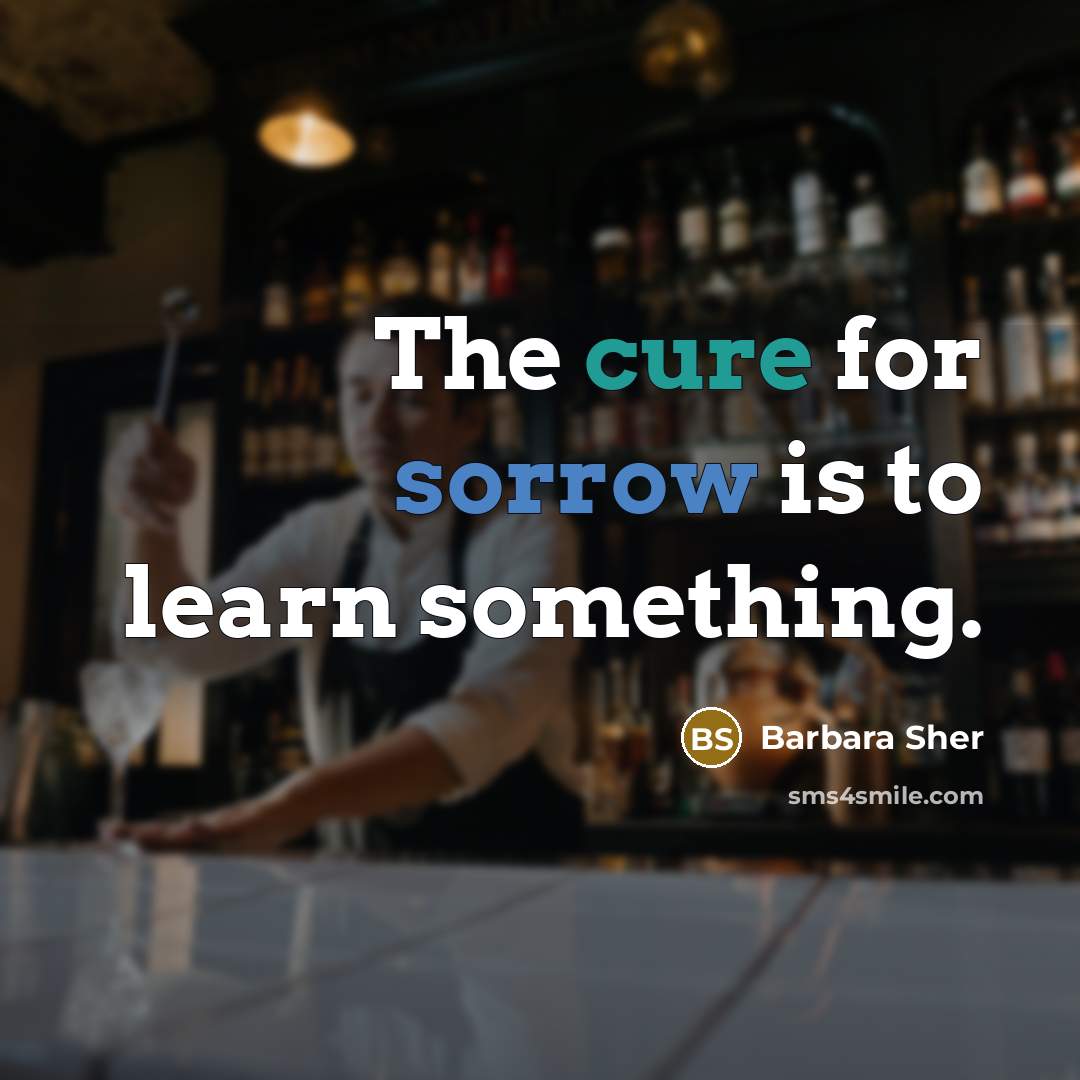 “The cure for sorrow is to learn something.…” quote by Barbara Sher