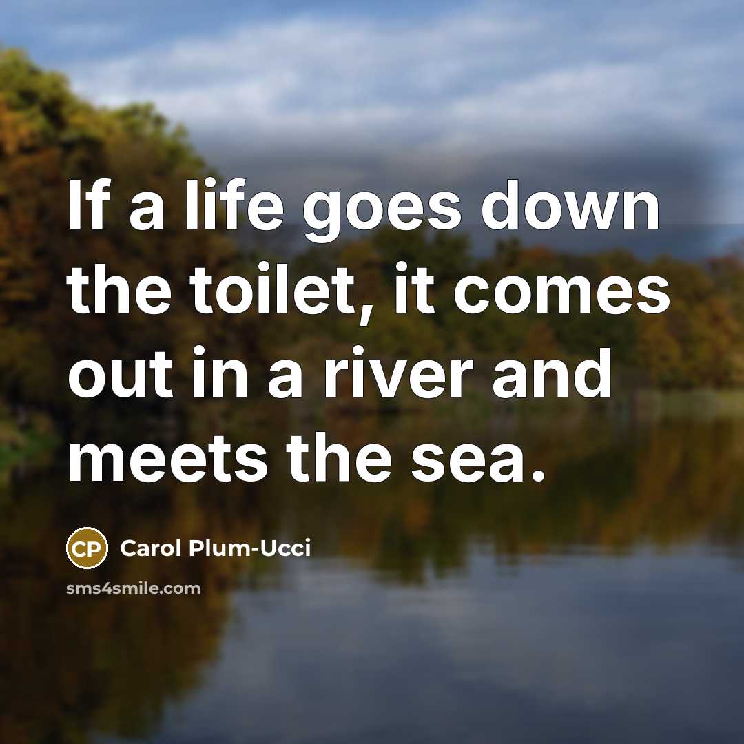 “If a life goes down the toilet, it comes out…” quote by Carol Plum-Ucci