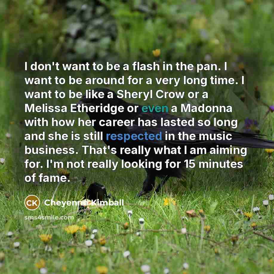 “I don't want to be a flash in the pan.…” quote by Cheyenne Kimball