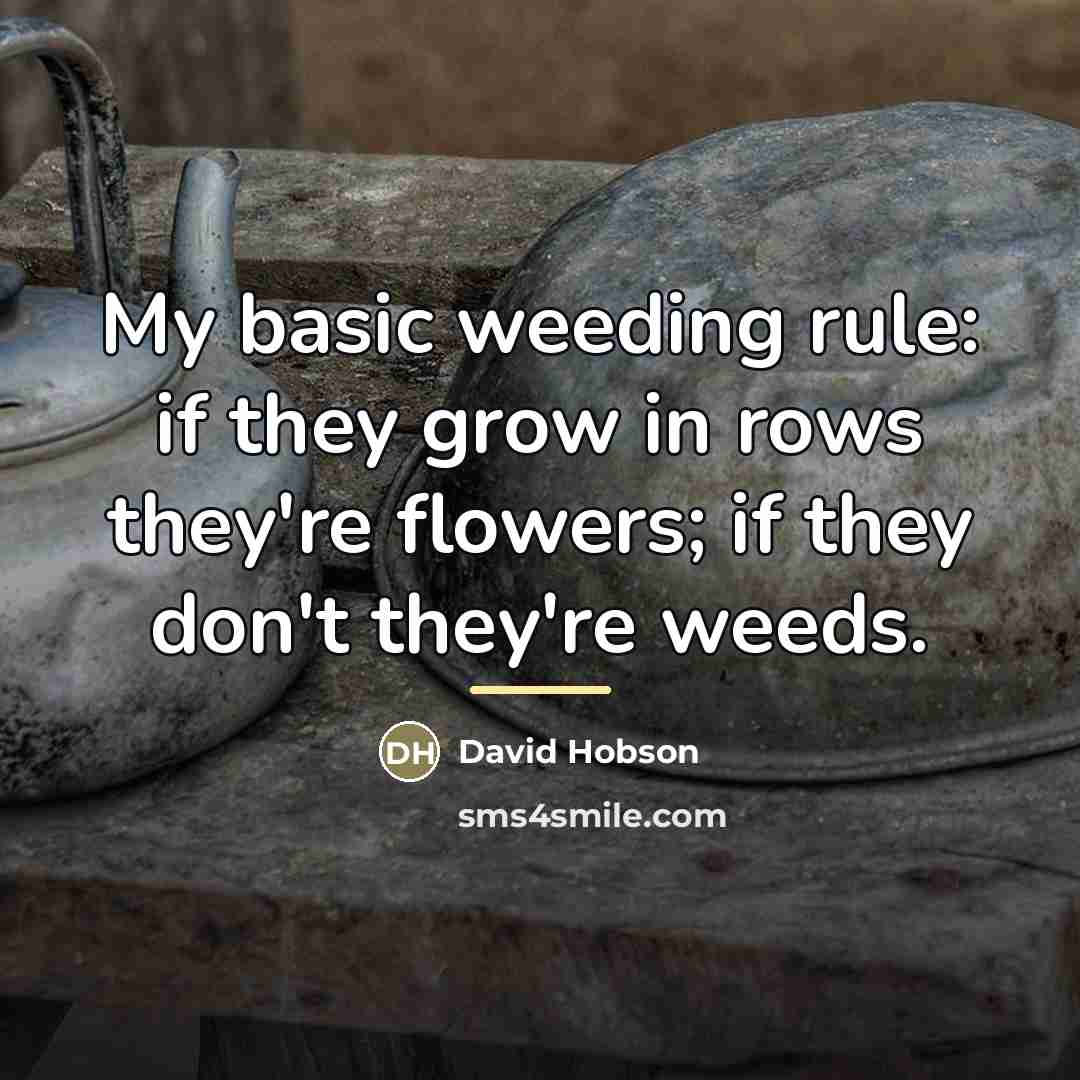 “My basic weeding rule: if they grow in rows they're…” quote by David Hobson