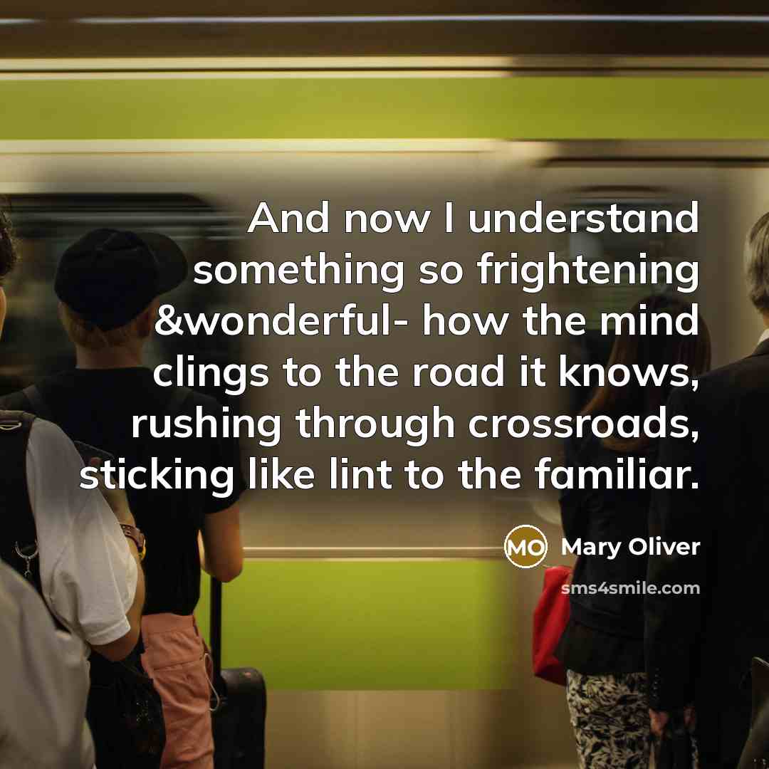 “And now I understand something so frightening &wonderful- how the…” quote by Mary Oliver