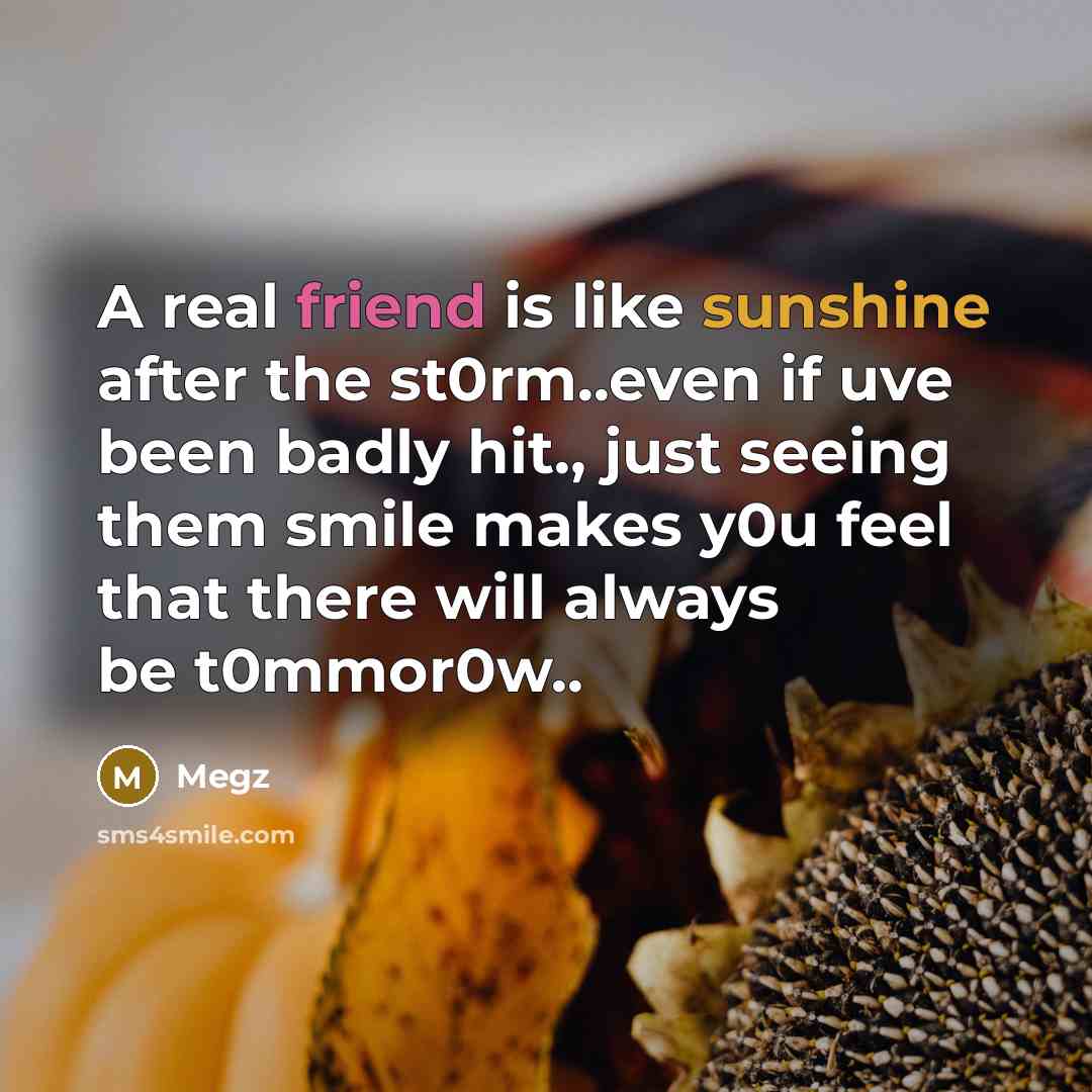“A real friend is like sunshine after the st0rm..even if…” quote by Megz