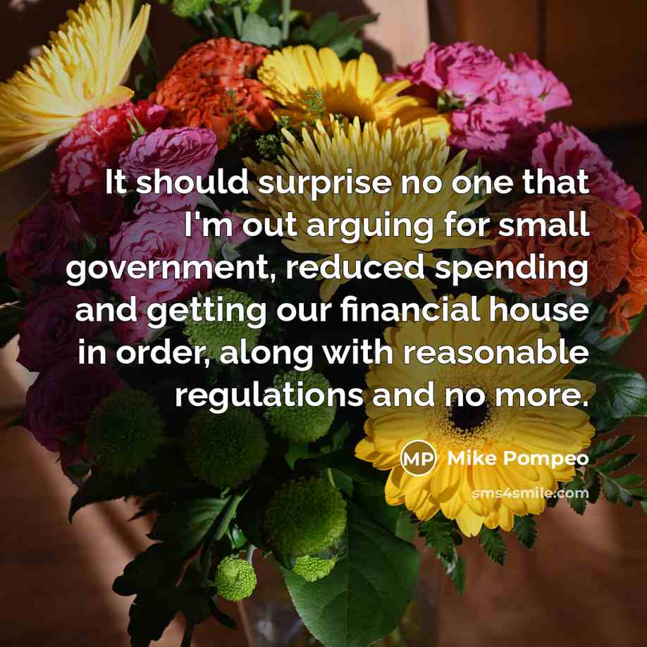 “It should surprise no one that I'm out arguing for…” quote by Mike Pompeo