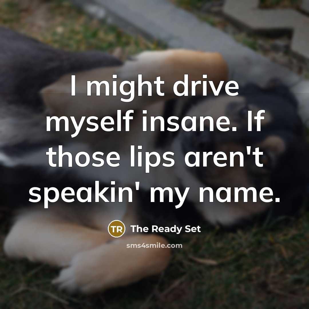 “I might drive myself insane. If those lips aren't speakin' my name.” quote by The Ready Set