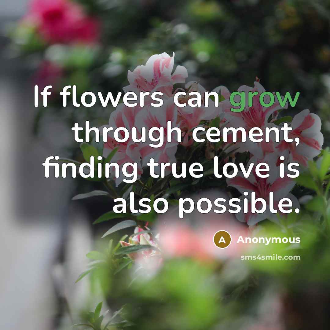 “If flowers can grow through cement, finding true love is…” quote by Anonymous