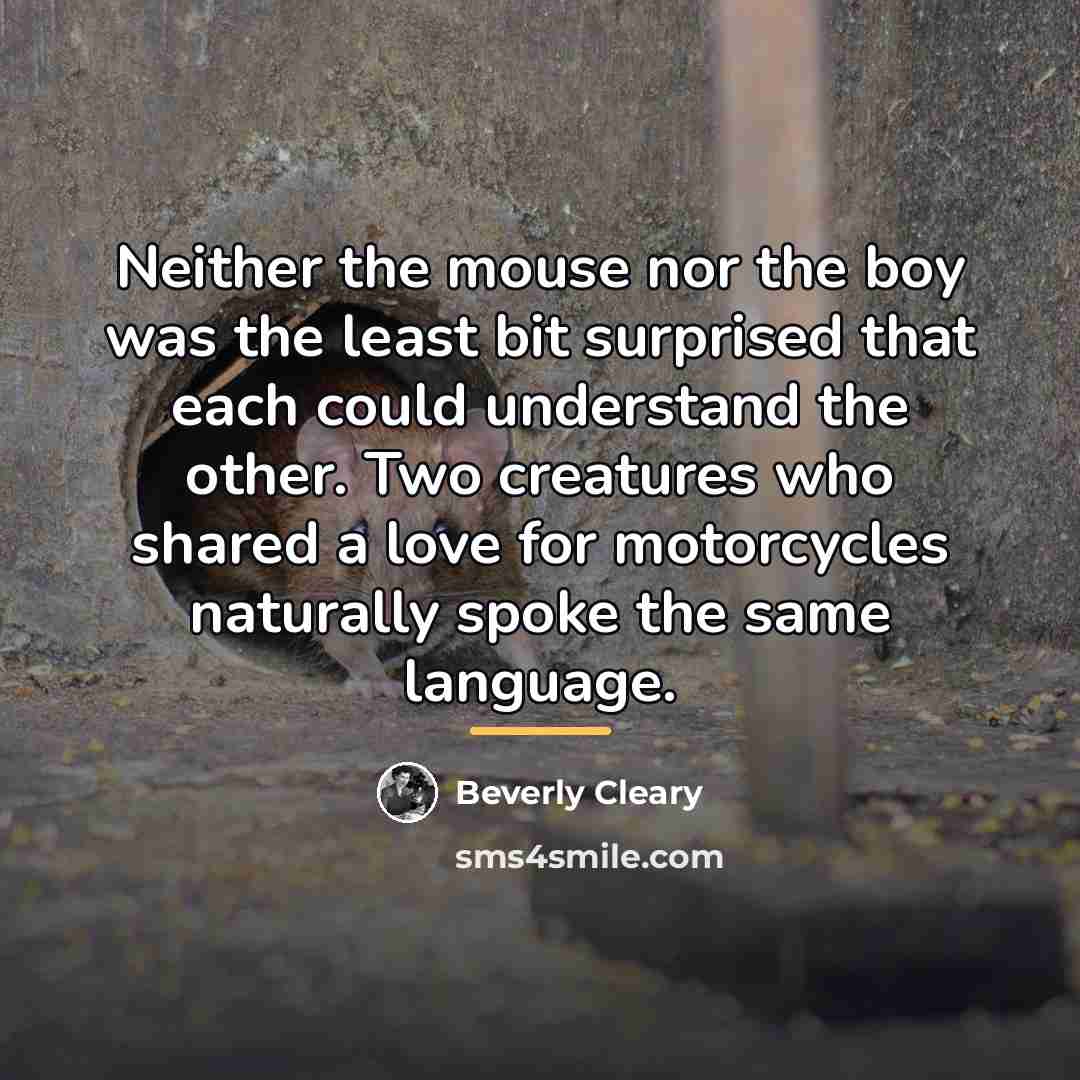 “Neither the mouse nor the boy was the least bit…” quote by Beverly Cleary
