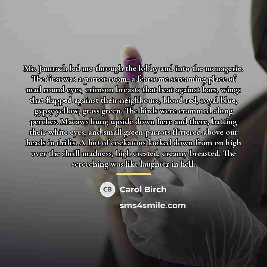 “Mr. Jamrach led me through the lobby and into the…” quote by Carol Birch
