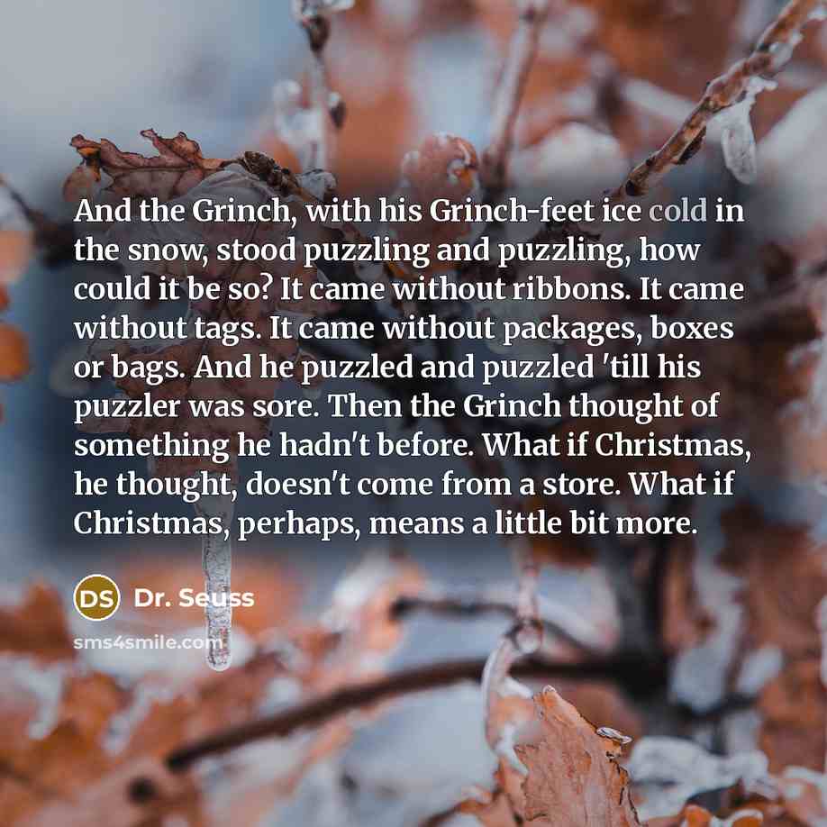 “And the Grinch, with his Grinch-feet ice cold in the…” quote by Dr. Seuss