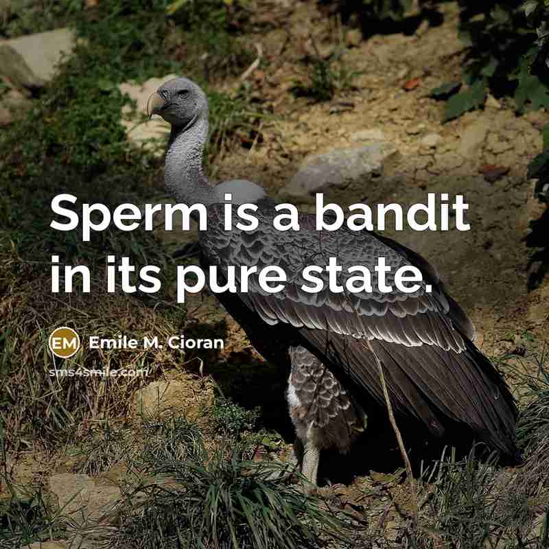 “Sperm is a bandit in its pure state.…” quote by Emile M. Cioran