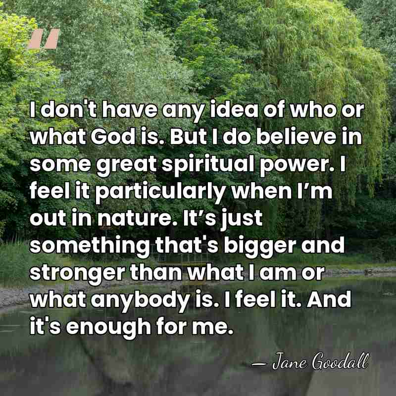 I don't have any idea of who or what God is. But&hellip; - Jane Goodall