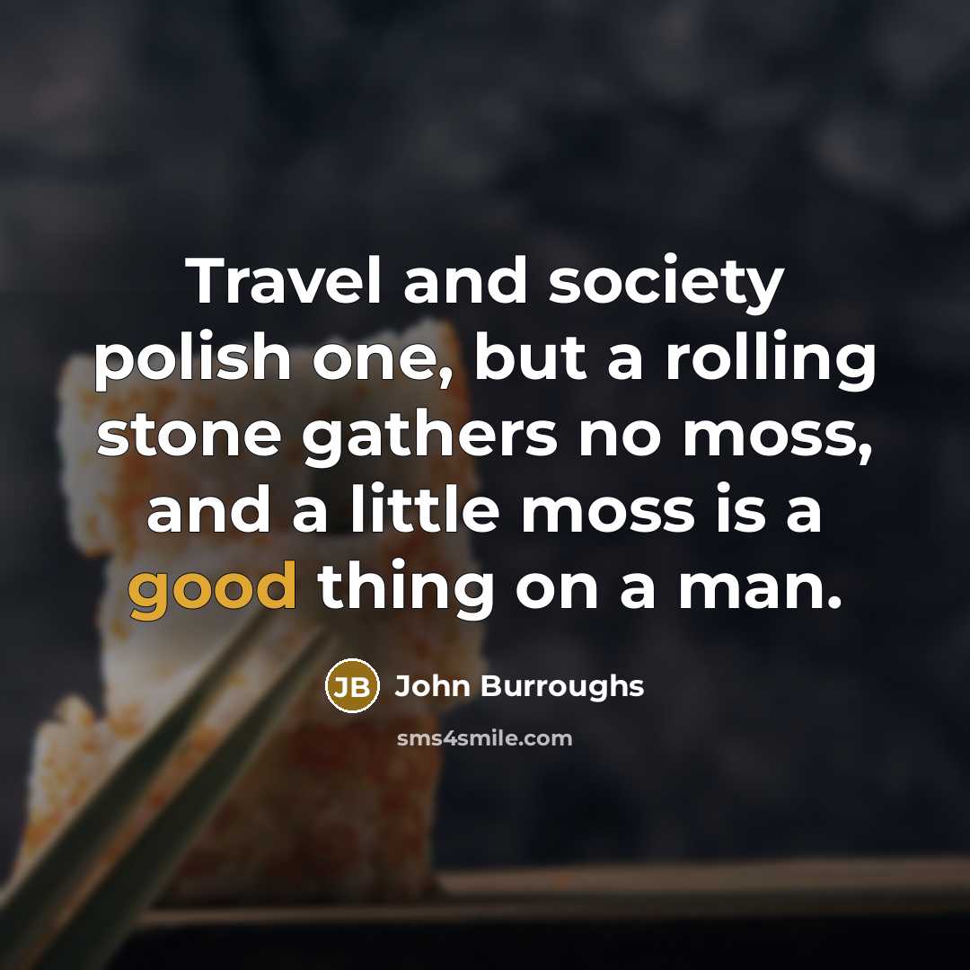 “Travel and society polish one, but a rolling stone gathers…” quote by John Burroughs