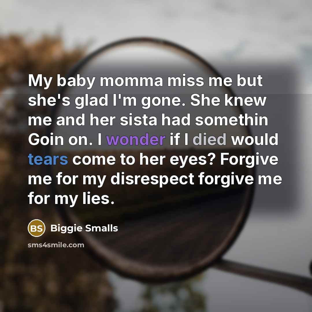 “My baby momma miss me but she's glad I'm gone. She knew me and her sista had somethin Goin on. I wonder if I died would tears come to her eyes? Forgive me for my disrespect forgive me for my lies.” quote by Biggie Smalls