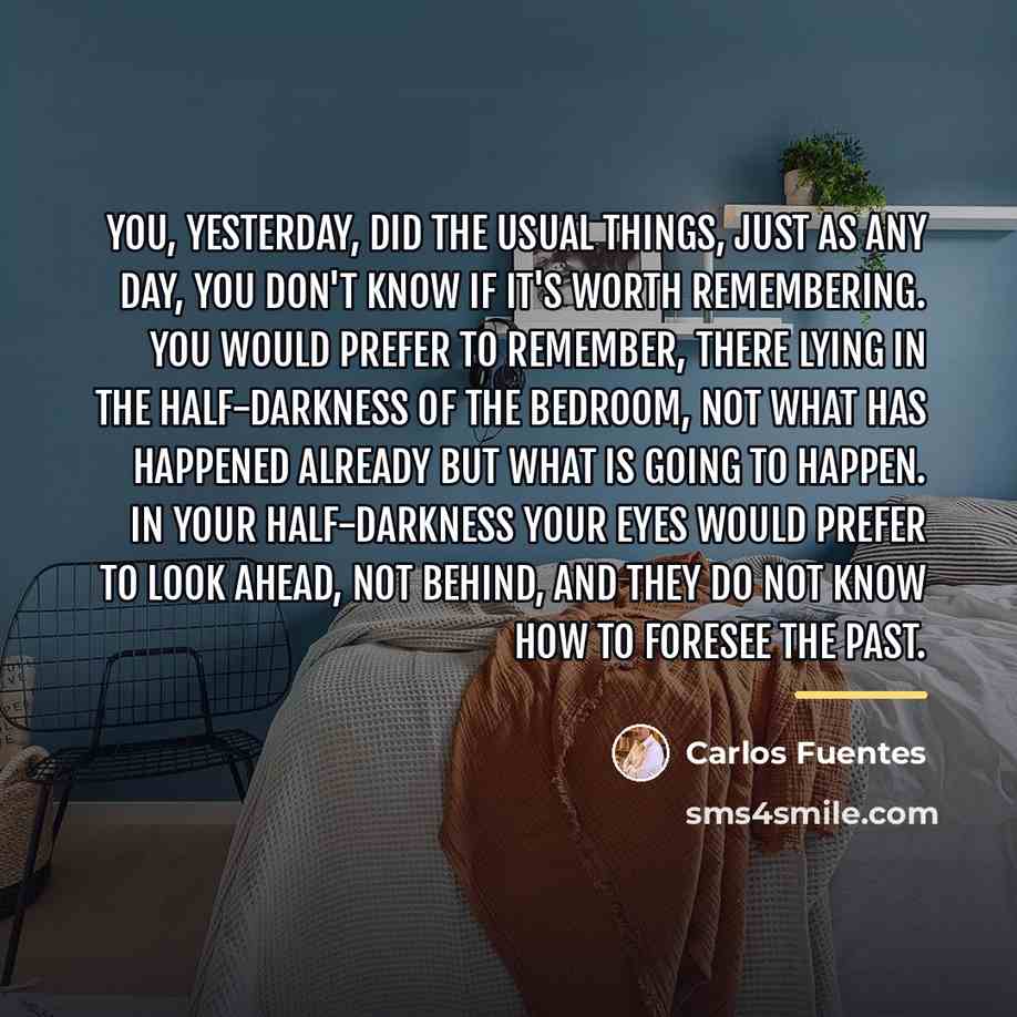 “You, yesterday, did the usual things, just as any day,…” quote by Carlos Fuentes