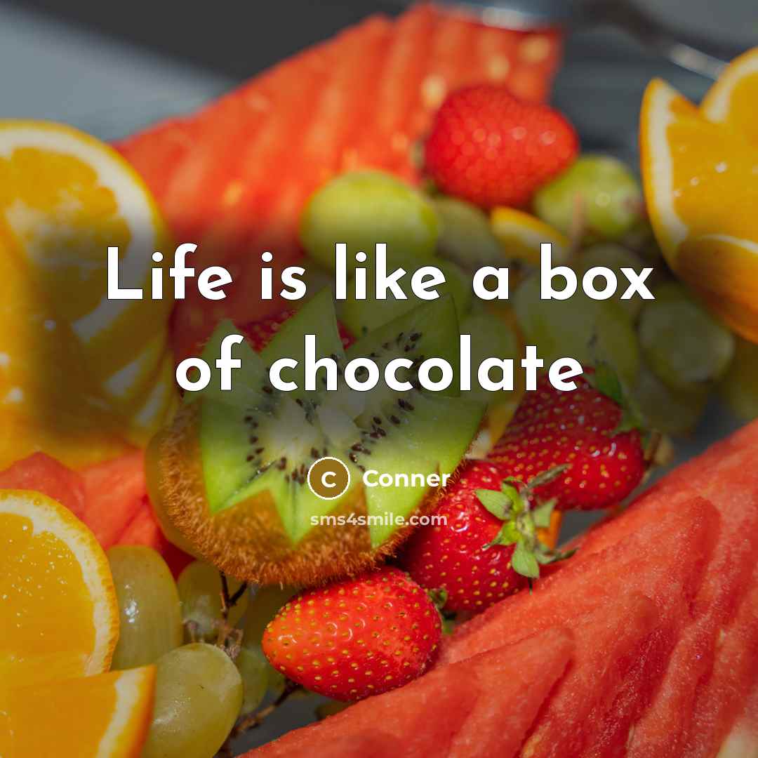 “Life is like a box of chocolate” quote by Conner