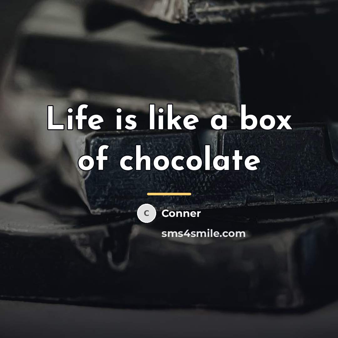 “Life is like a box of chocolate…” quote by Conner