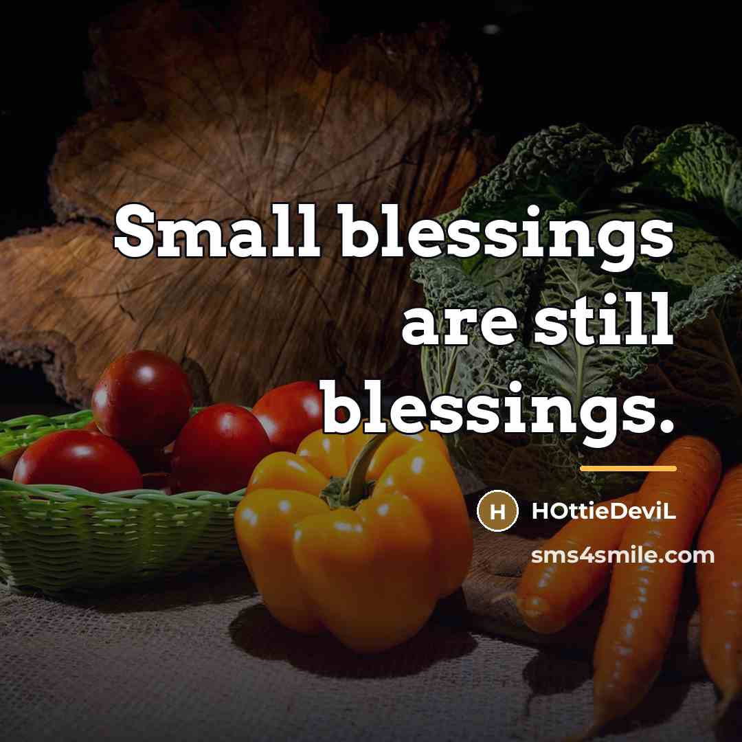 “Small blessings are still blessings.…” quote by HOttieDeviL