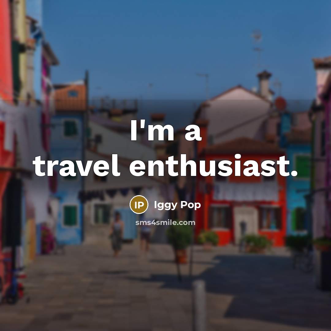 “I'm a travel enthusiast.” quote by Iggy Pop