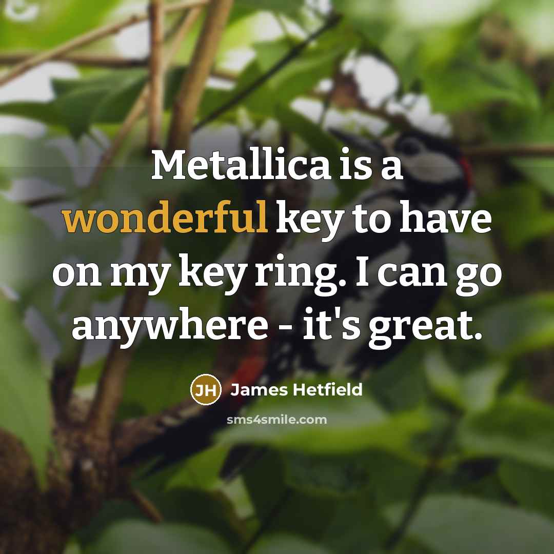“Metallica is a wonderful key to have on my key…” quote by James Hetfield