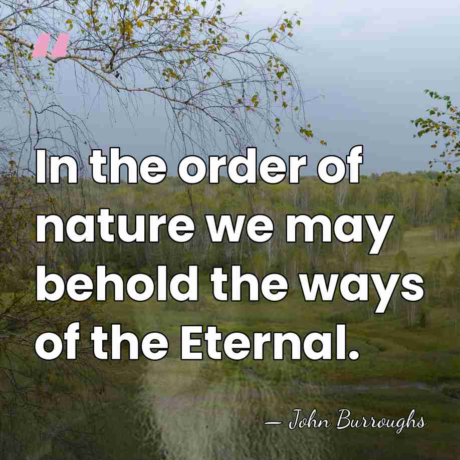 In the order of nature we may behold the ways of the&hellip; - John Burroughs