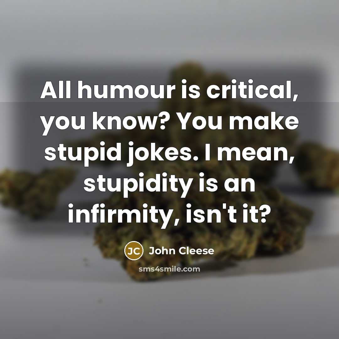 “All humour is critical, you know? You make stupid jokes. I mean, stupidity is an infirmity, isn't it?” quote by John Cleese