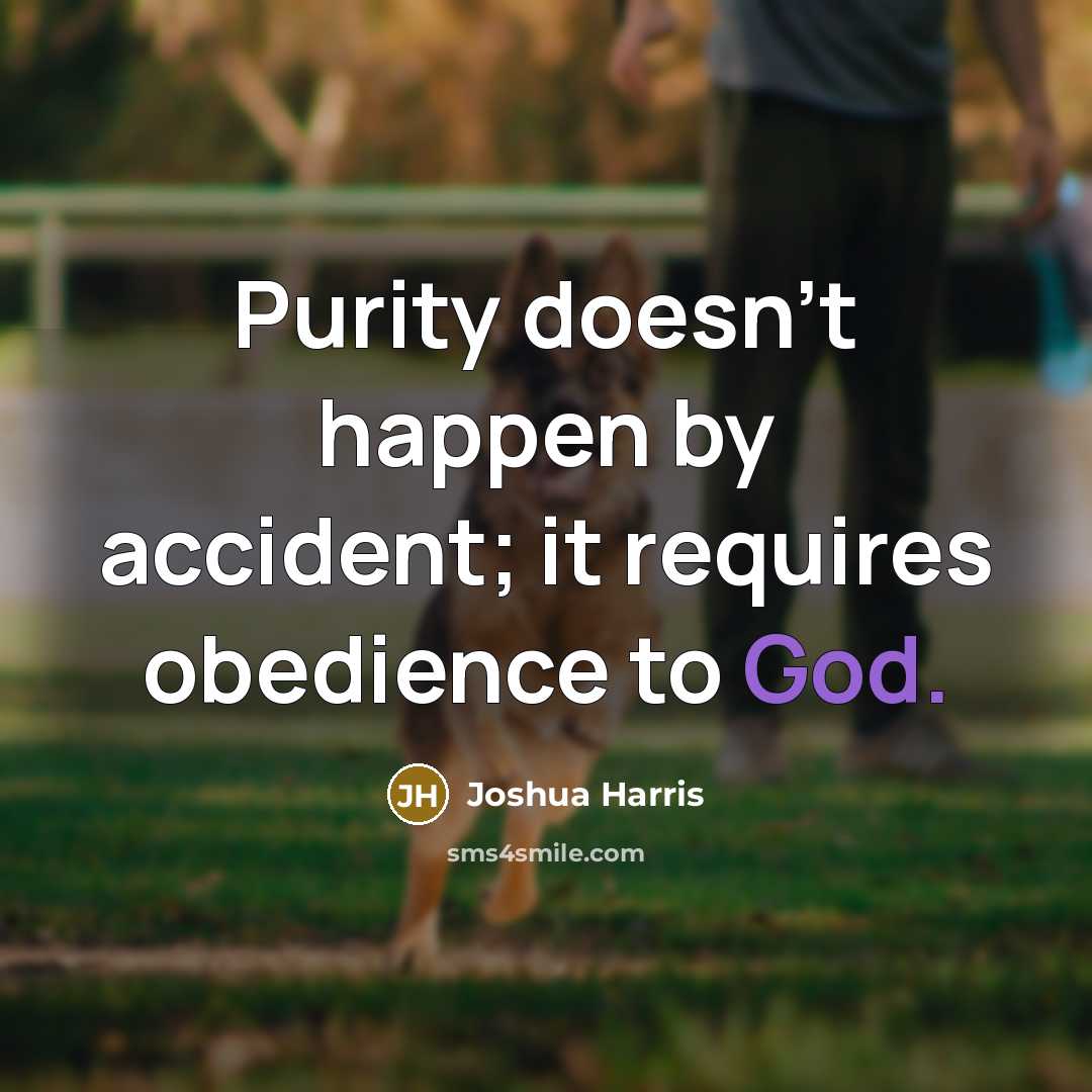 “Purity doesn't happen by accident; it requires obedience to God.…” quote by Joshua Harris