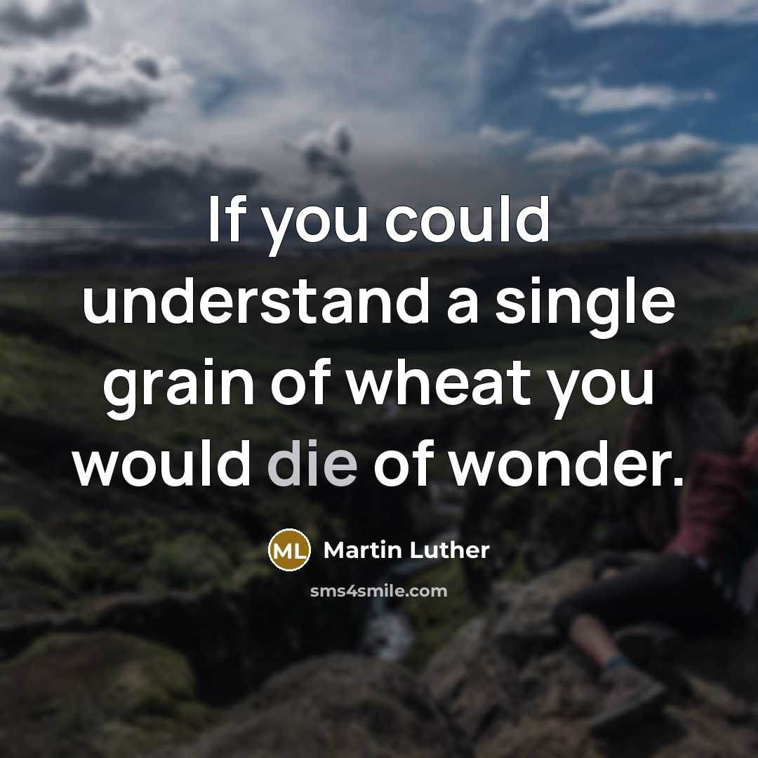 “If you could understand a single grain of wheat you…” quote by Martin Luther