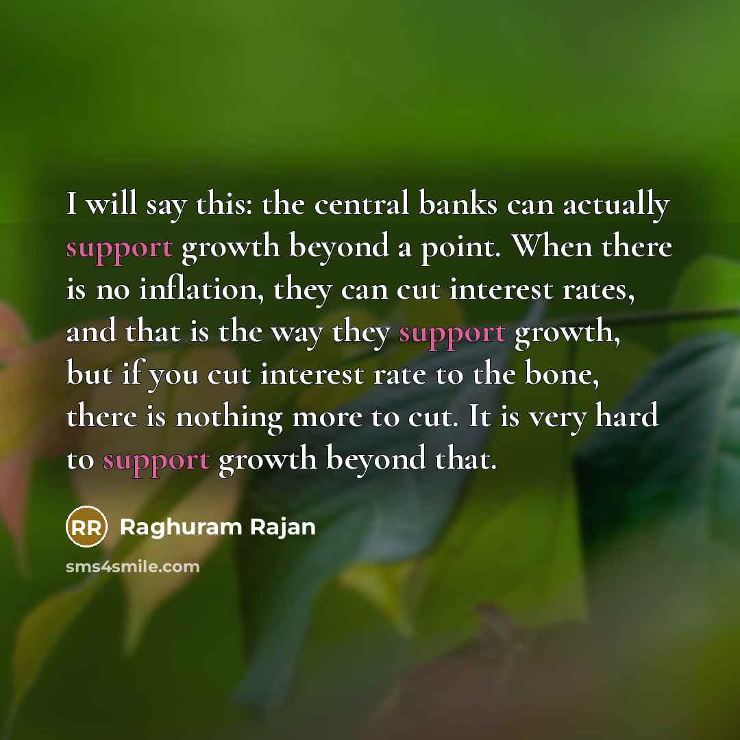“I will say this: the central banks can actually support…” quote by Raghuram Rajan