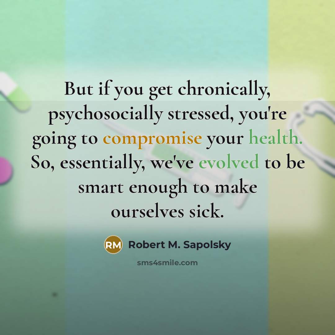“But if you get chronically, psychosocially stressed, you're going to…” quote by Robert M. Sapolsky