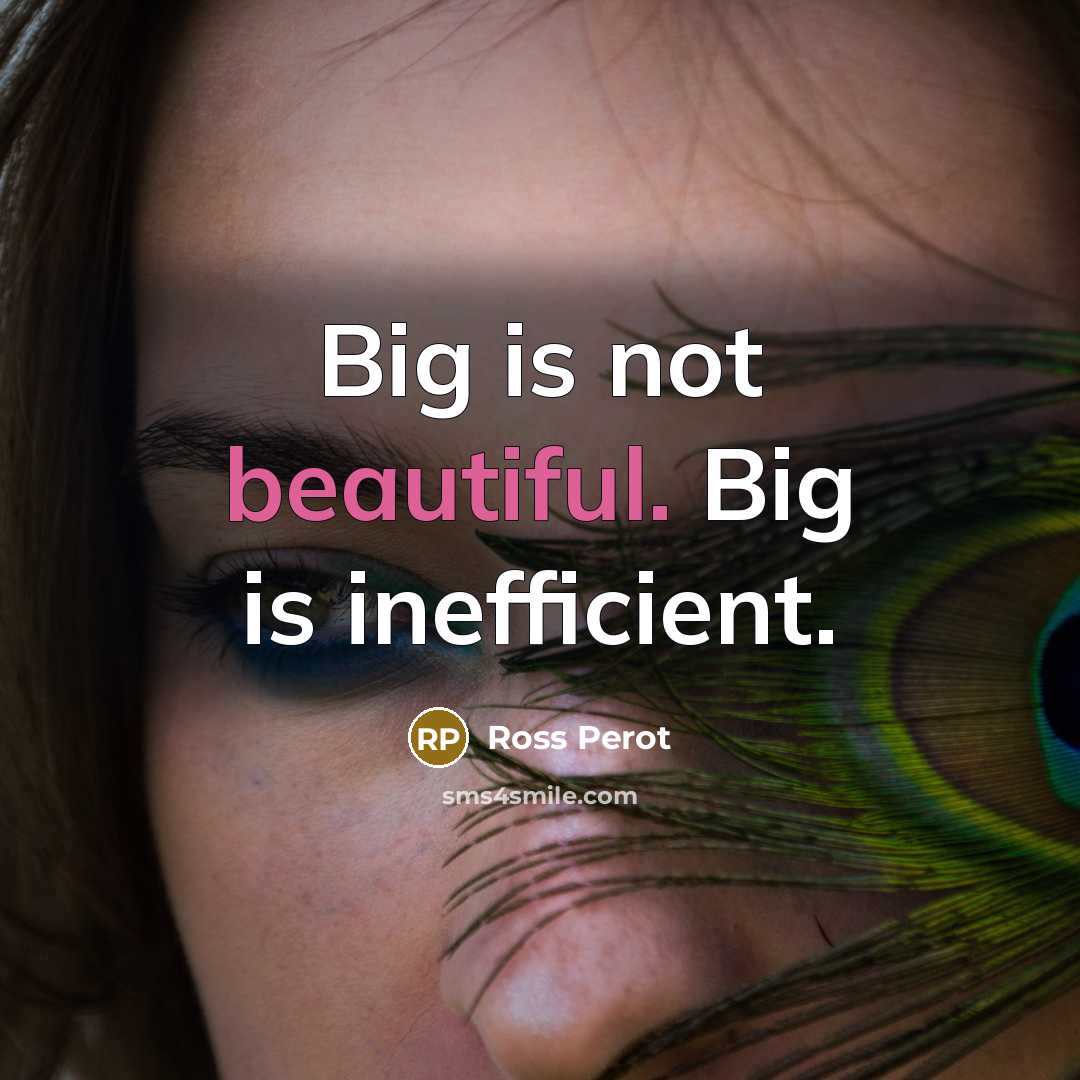 “Big is not beautiful. Big is inefficient.…” quote by Ross Perot
