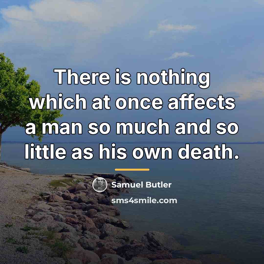 “There is nothing which at once affects a man so…” quote by Samuel Butler
