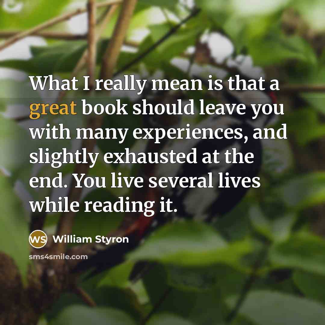 “What I really mean is that a great book should…” quote by William Styron