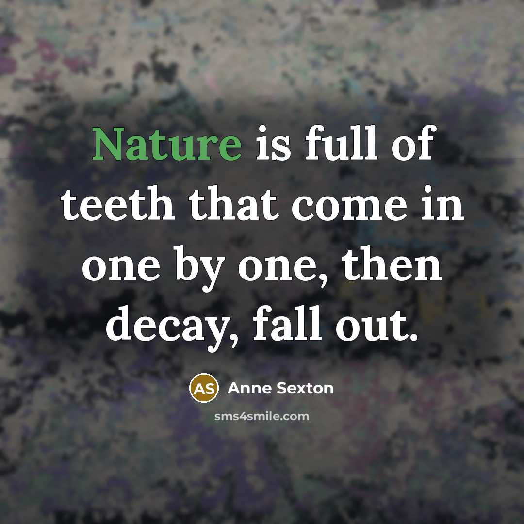 “Nature is full of teeth that come in one by…” quote by Anne Sexton
