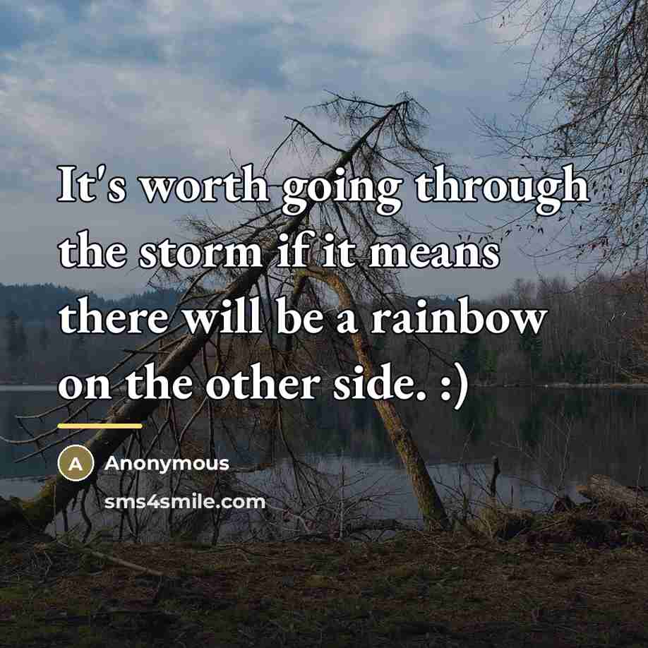 “It's worth going through the storm if it means there…” quote by Anonymous