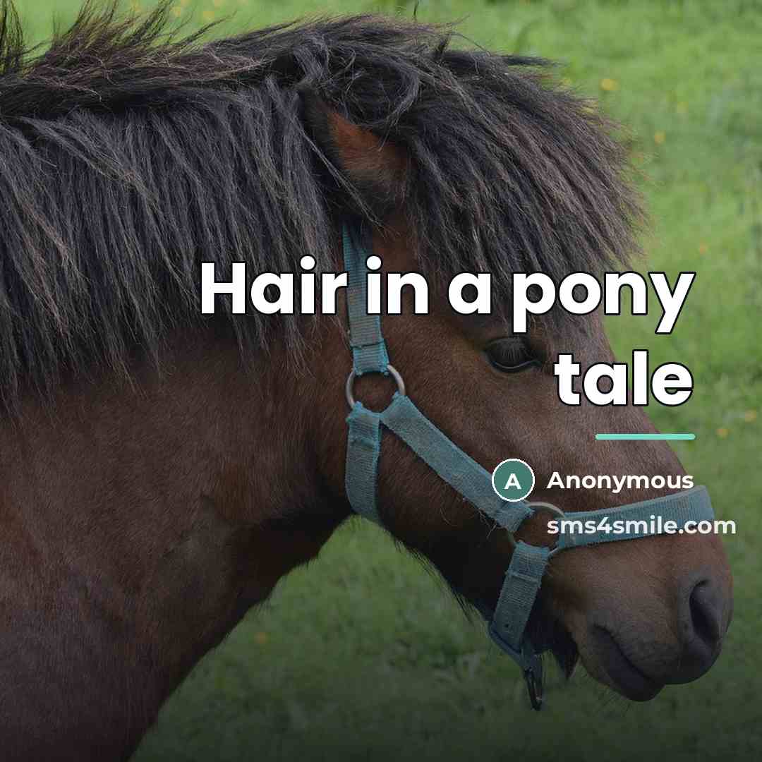 “Hair in a pony tale…” quote by Anonymous