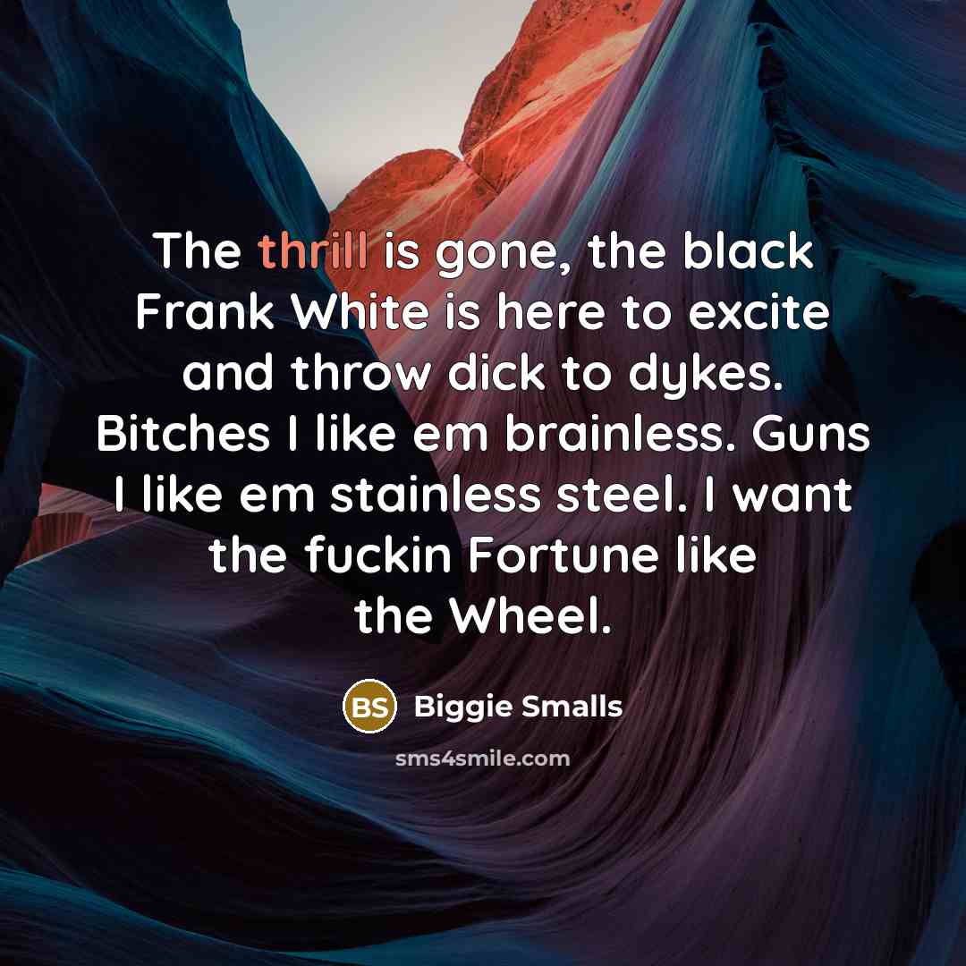 “The thrill is gone, the black Frank White is here…” quote by Biggie Smalls