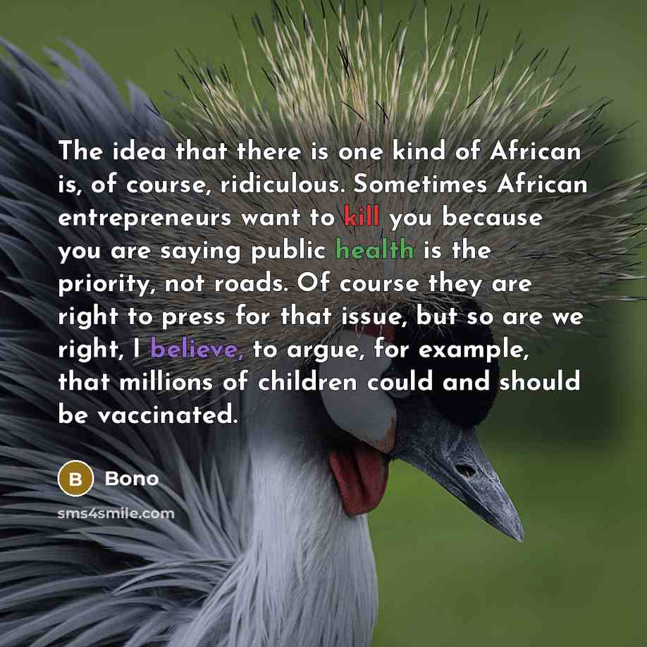 “The idea that there is one kind of African is, of course, ridiculous. Sometimes African entrepreneurs want to kill you because you are saying public health is the priority, not roads. Of course they are right to press for that issue, but so are we right, I believe, to argue, for example, that…” quote by Bono