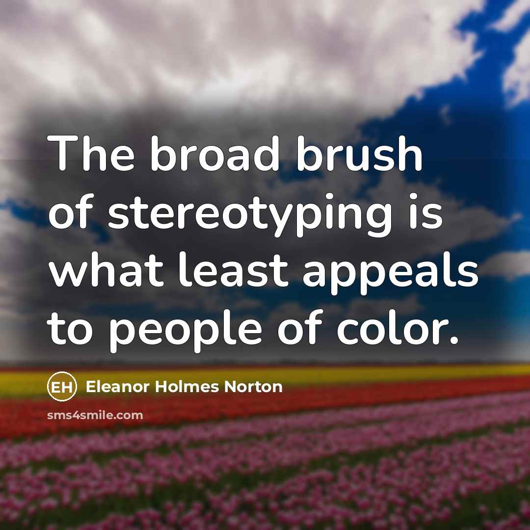 “The broad brush of stereotyping is what least appeals to…” quote by Eleanor Holmes Norton